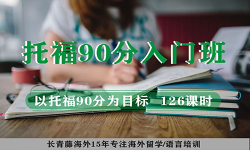 托福90分入門(mén)班